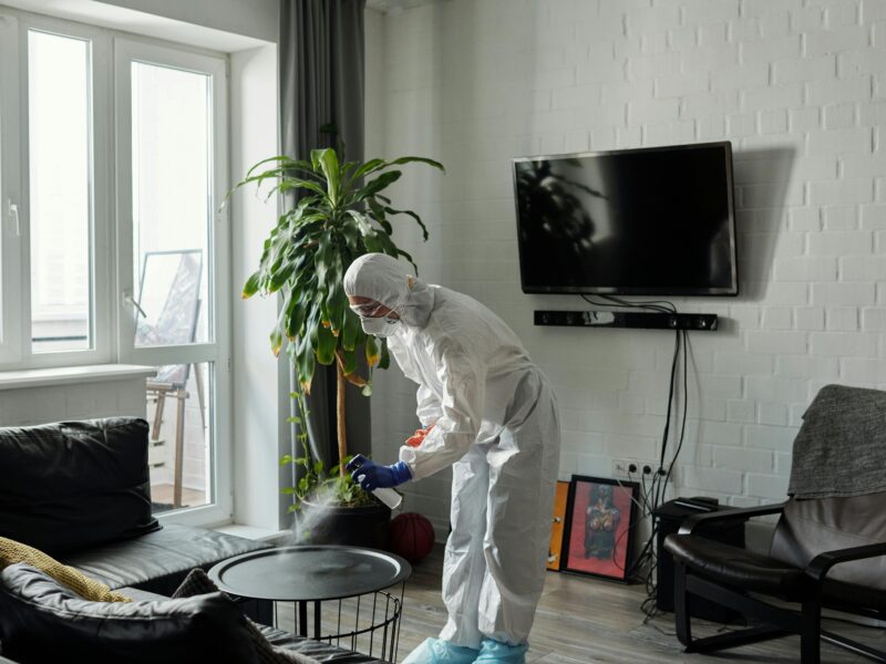 Cleaning Jobs in Denmark with Visa Sponsorship