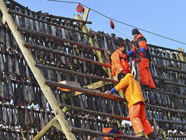 Construction Jobs in Ireland with Visa Sponsorship